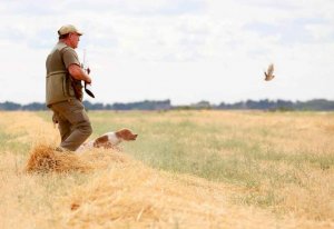 Suspendido cautelarmente el decreto que regula las especies cinegéticas