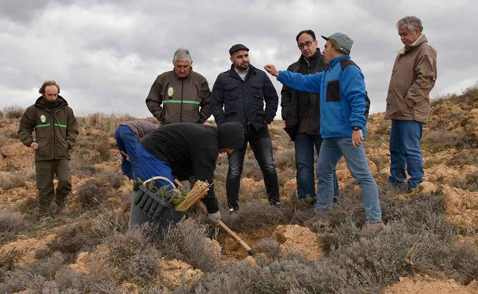 La Junta subvenciona con 1,8 millones tareas de reforestación La Junta subvenciona con 1,8 millones tareas de reforestación