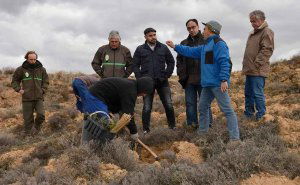 La Junta subvenciona con 1,8 millones tareas de reforestación La Junta subvenciona con 1,8 millones tareas de reforestación