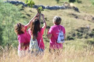 Más de cien actividades en el programa de Voluntariado Ambiental