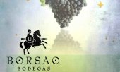 Cata con vinos de la Bodega Borsao