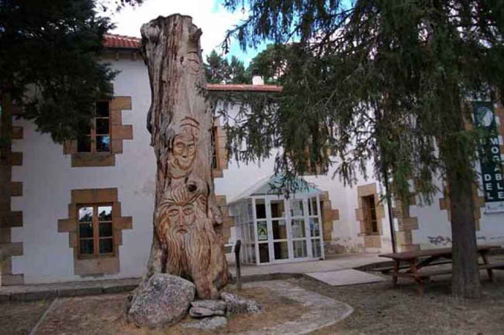El Aula del Bosque del Amogable celebra el Día del Libro El Aula del Bosque del Amogable celebra el Día del Libro