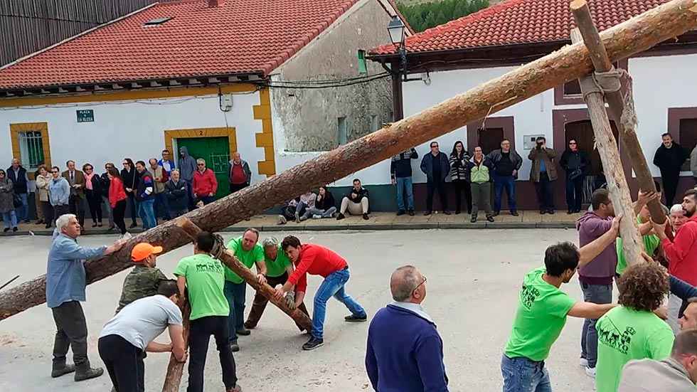 Cabrejas del Pinar pinga el mayo Cabrejas del Pinar pinga el mayo