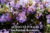 Actividades culturales en la Semana Santa de San Esteban de Gormaz