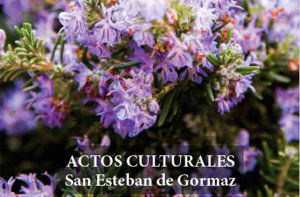 Actividades culturales en la Semana Santa de San Esteban de Gormaz Actividades culturales en la Semana Santa de San Esteban de Gormaz