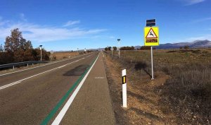 Un sistema reduce los accidentes con animales en las carreteras