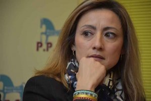 Fernández Araque, alcaldable por la PPSo en Soria