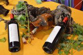 Inscripciones para la XVIII Feria del Vino en San Esteban Inscripciones para la XVIII Feria del Vino en San Esteban