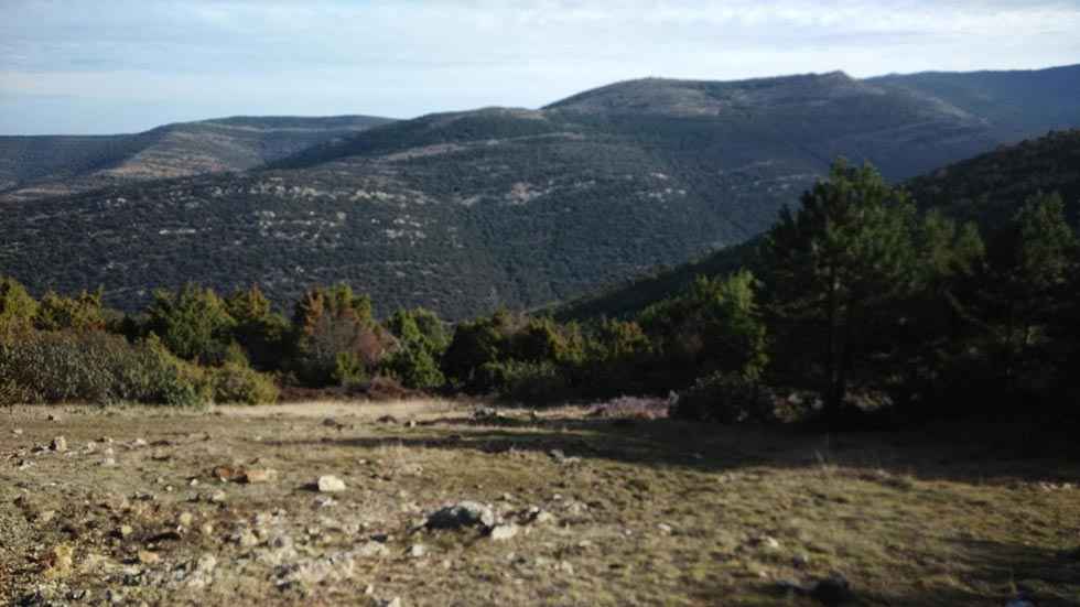 Villar del Río organiza la XII Marcha Senderista "La Cruz de Mayo" Villar del Río organiza la XII Marcha Senderista "La Cruz de Mayo"