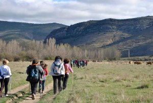 Buena participación en la XII Marcha Senderista de Villar del Río