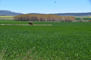 Jornada sobre agricultura, ganadería y caza, en el CIEDA-CIEMAT