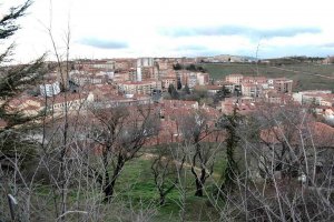 Un perro desentierra restos humanos en la ladera del castillo