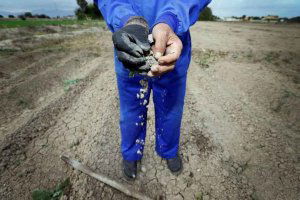 La Junta refuerza su apoyo a los seguros agrarios La Junta refuerza su apoyo a los seguros agrarios