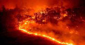 Peligro medio de incendios en toda la Comunidad