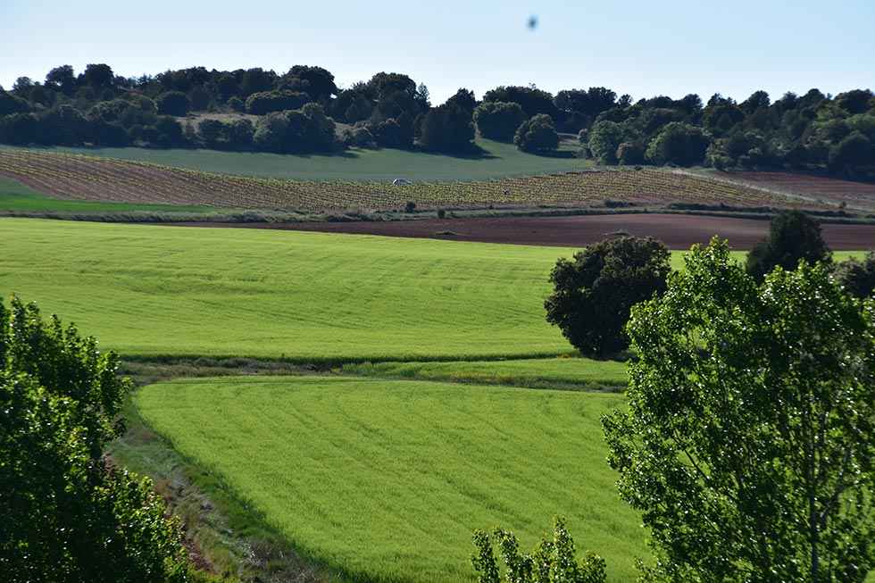 Salvaje, la revista que quiere sacarte al campo Salvaje, la revista que quiere sacarte al campo