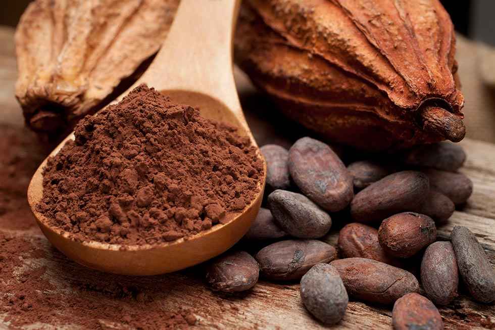 El doctor Estruch recomienda el cacao como complemento a dieta mediterránea El doctor Estruch recomienda el cacao como complemento a dieta mediterránea
