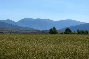 Tres rutas senderistas para conocer y disfrutar del Moncayo