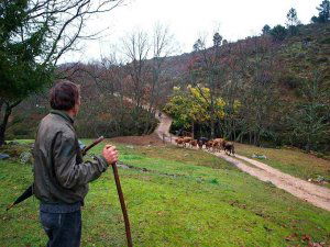Soria acoge el III Foro Cultura y Ruralidades Soria acoge el III Foro Cultura y Ruralidades