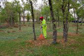 Las brigadas forestales inician sus trabajos de limpieza Las brigadas forestales inician sus trabajos de limpieza
