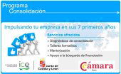 Diagnósticos de consolidación empresarial para las pymes Diagnósticos de consolidación empresarial para las pymes