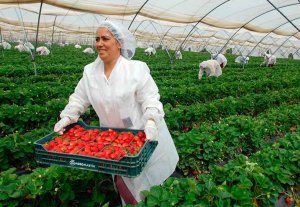 La mujer representa el 54 por ciento de emprendimiento en medio rural