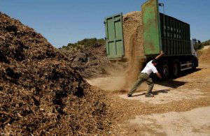 Castilla y León recibe 39,1 millones en la Sectorial de Agricultura Castilla y León recibe 39,1 millones en la Sectorial de Agricultura