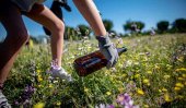 Recogida de "basuraleza" en las casas del parque