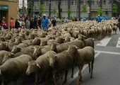 Tierras Altas ofrece la oportunidad de ser trashumante