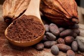 El doctor Estruch recomienda el cacao como complemento a dieta mediterránea