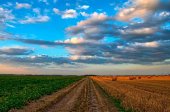 Nuevo convenio colectivo del sector agrícola-ganadero