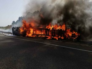 Calcinado un camión de mercancías peligrosas en Los Rábanos