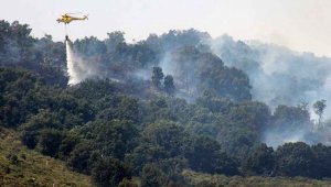 El PSOE pide responsabilidades a Junta por los incendios