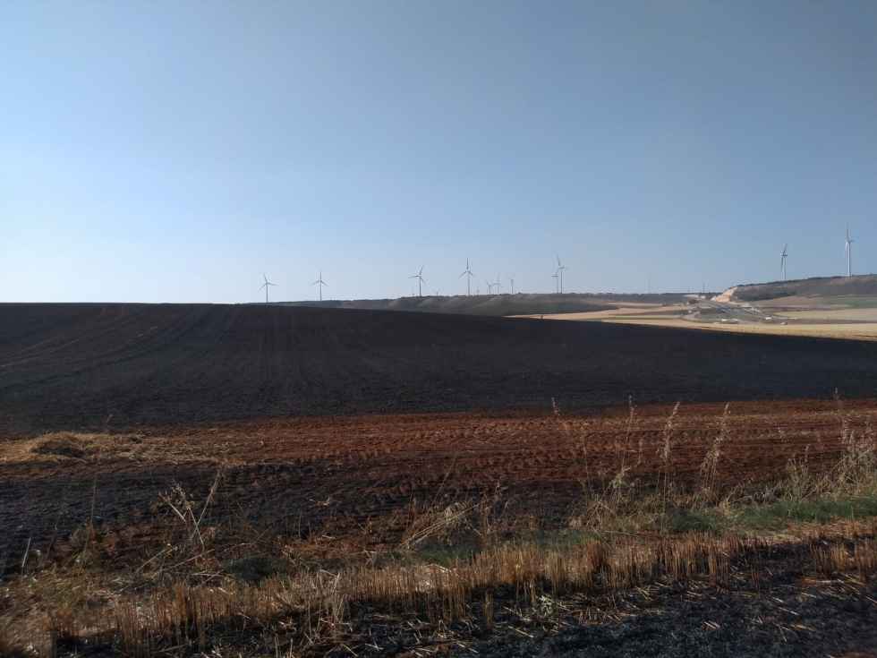 Incendio de cultivo cerealista en Alcubilla de las Peñas Incendio de cultivo cerealista en Alcubilla de las Peñas