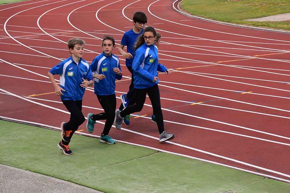 El Deporte Escolar crece en participación en el último curso El Deporte Escolar crece en participación en el último curso