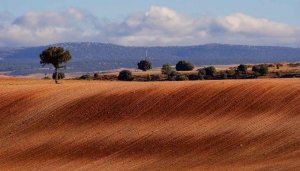 Toma de posesión de la zona de concentración parcelaria Zayuelas II