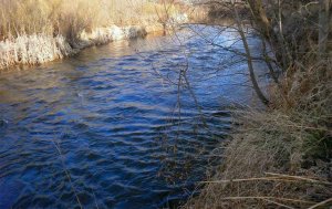 Fallece un pescador en Tardajos de Duero