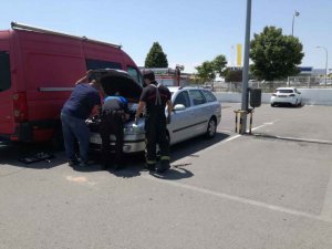 Un gato viaja 60 kilómetros en el motor de un coche