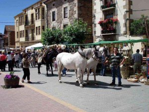 Trashumancia en el XVIII mercado tradicional de Almarza