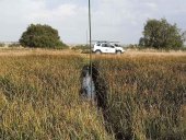 Segunda campaña de  anillamiento de aves en paso posnupcial 