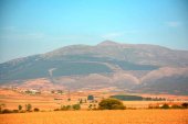 Presentación del libro “El Moncayo. Paraíso de los naturalistas” 