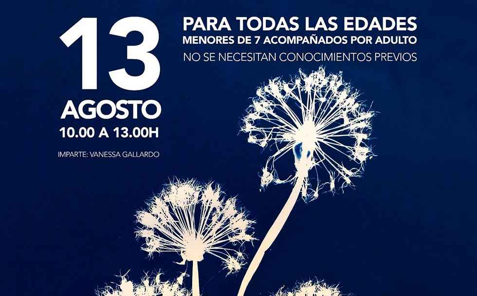 Taller de cianotipia en Almazán Taller de cianotipia en Almazán