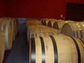 Cata de vinos aragoneses en el Casino Amistad