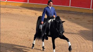 Una corrida de rejones para abrir la feria taurina