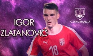 El delantero internacional serbio, Igor Zlatanovic, refuerzo para el Numancia