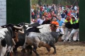 Fallece un hombre corneado en el último encierro de Cuéllar