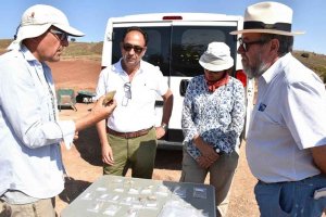 Finaliza la campaña estival de excavaciones en Torralba y Ambrona