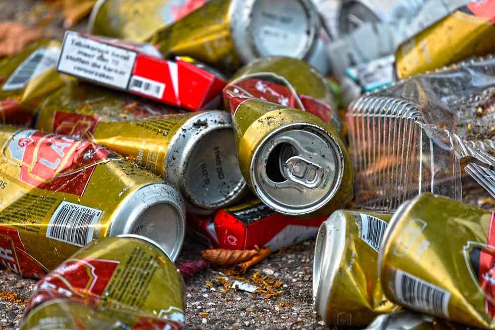 Los custodios ambientales llaman a celebrar el Día Mundial de la Limpieza Los custodios ambientales llaman a celebrar el Día Mundial de la Limpieza