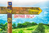 Los peregrinos eligen nombre para el guía del Camino de Santiago accesible