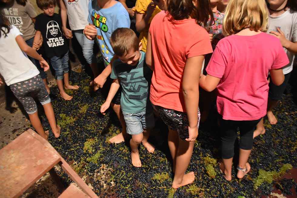 Langa de Duero disfruta de las XXIII Jornadas de la Vendimia Langa de Duero disfruta de las XXIII Jornadas de la Vendimia