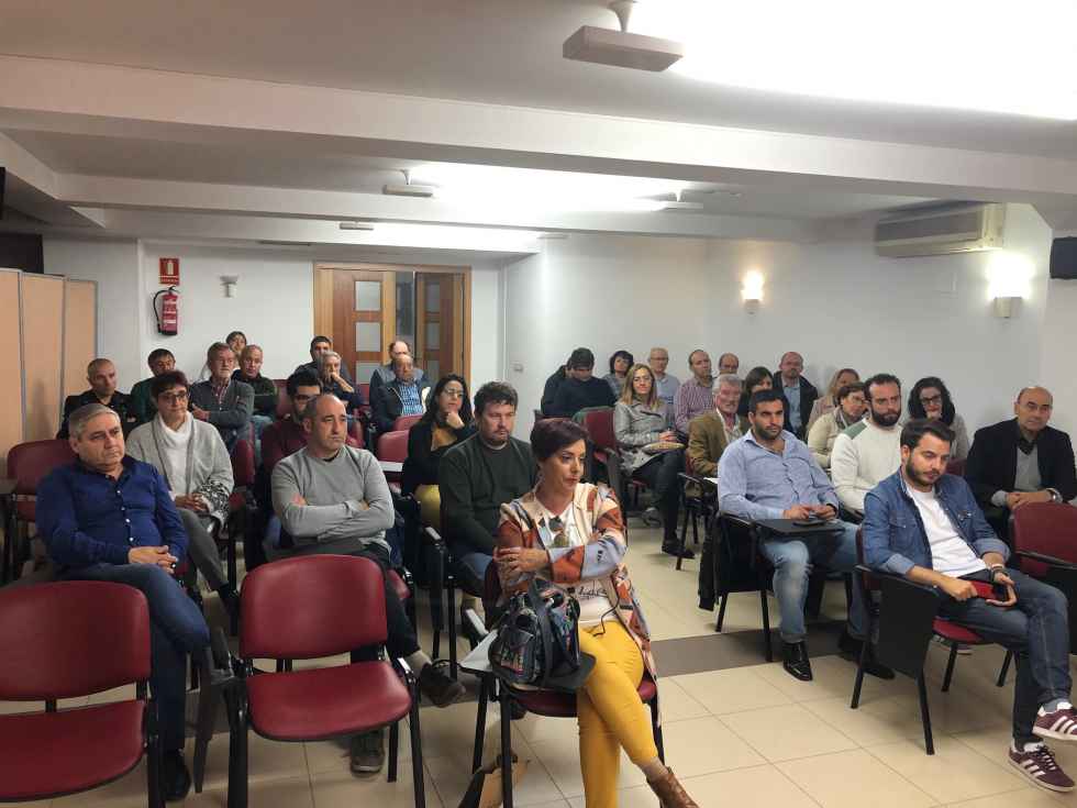 El PSOE insta a la Junta a dotar a cada comarca de un proyecto propio El PSOE insta a la Junta a dotar a cada comarca de un proyecto propio